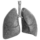 Nome completo do Paciente: [Não Disponível] Número da Autópsia: [Não Disponível] Idade: [Não Disponível] Sexo: [Não Disponível] Data de Óbito: [Não Disponível] Hora do Óbito: [Não Disponível] Clínica/Procedência: [Não Disponível] Causa óbito: Causa Principal: [Não Disponível] Causa do óbito: Causas Secundárias: [Não Disponível] Médico Responsável pela Autópsia: [Não Disponível]